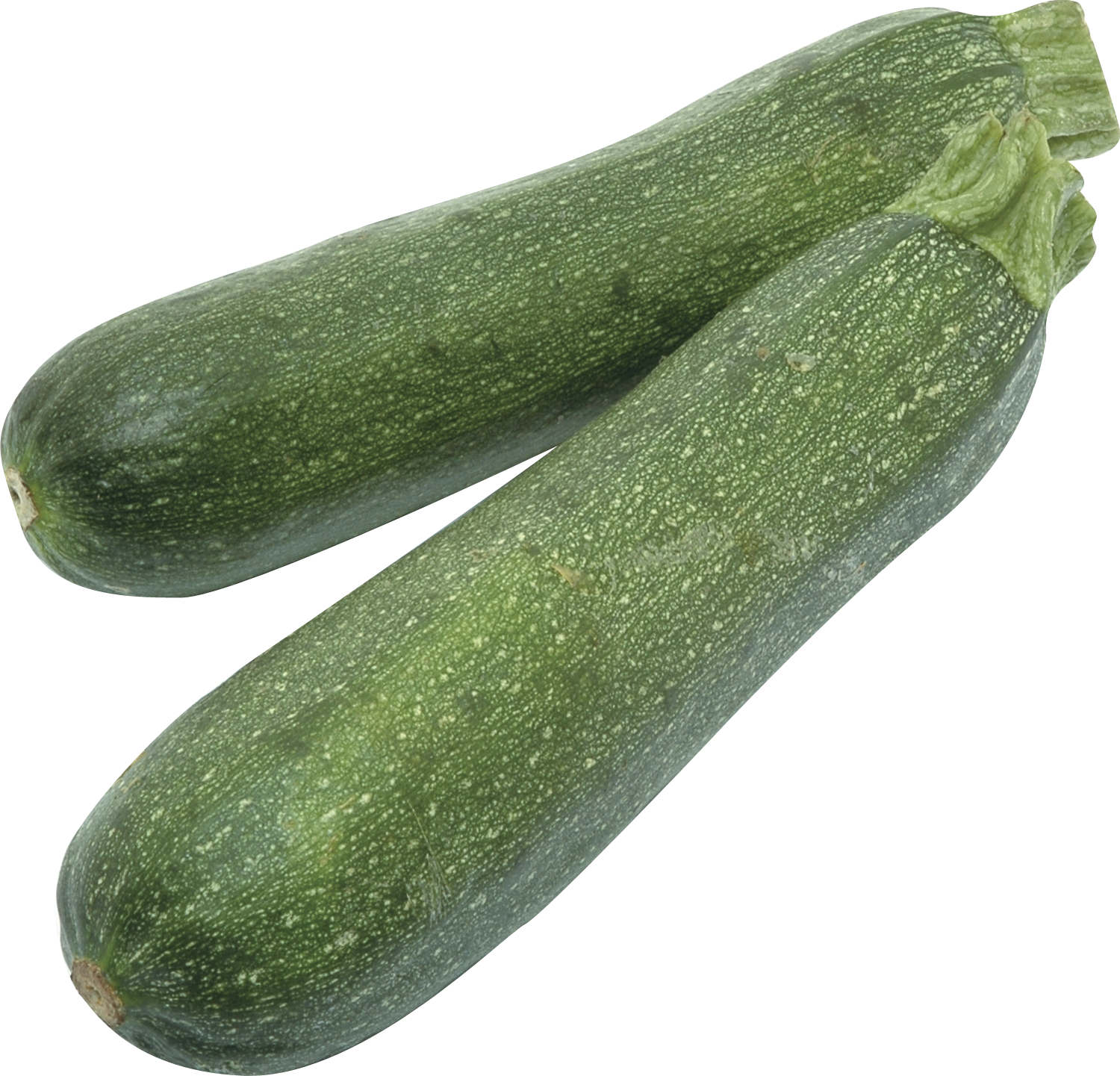 Courgette